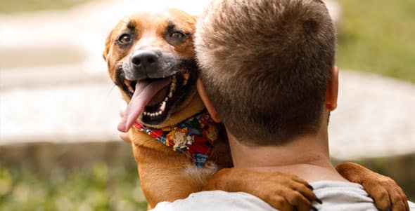 Happy dog in its owner's arms