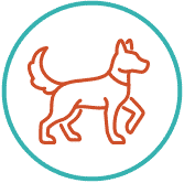 Dog Boarding icon