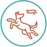 Dog Daycare icon