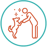Dog Training icon