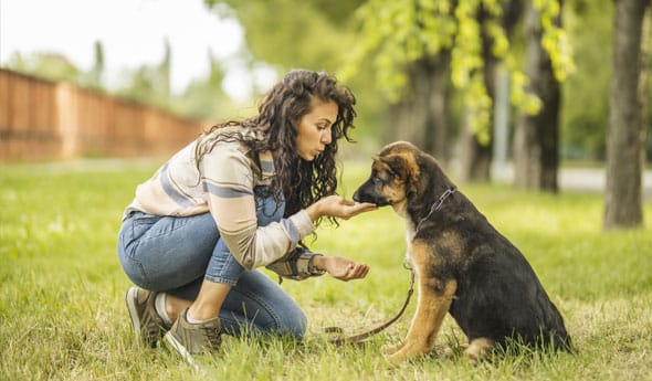 Woman training a dog