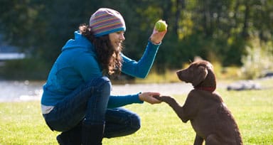 Woman training a puppy