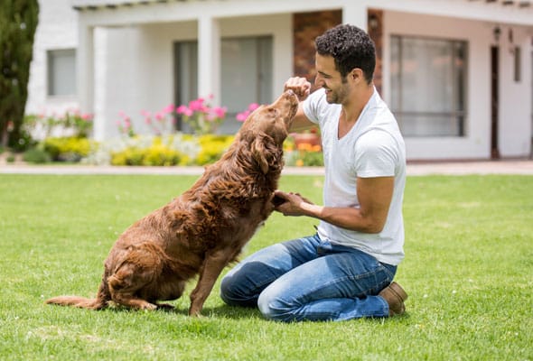 Man training his dog in the yard